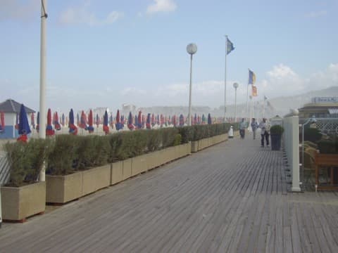 Élagueur Deauville