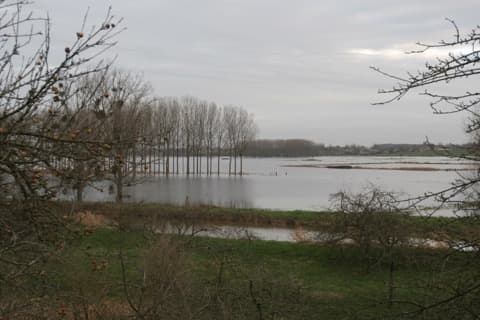 Élagueur Saint-Samson