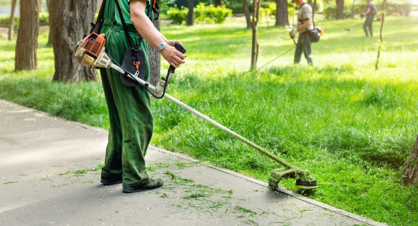 Entretien de Parcs & Jardins 14 Calvados
