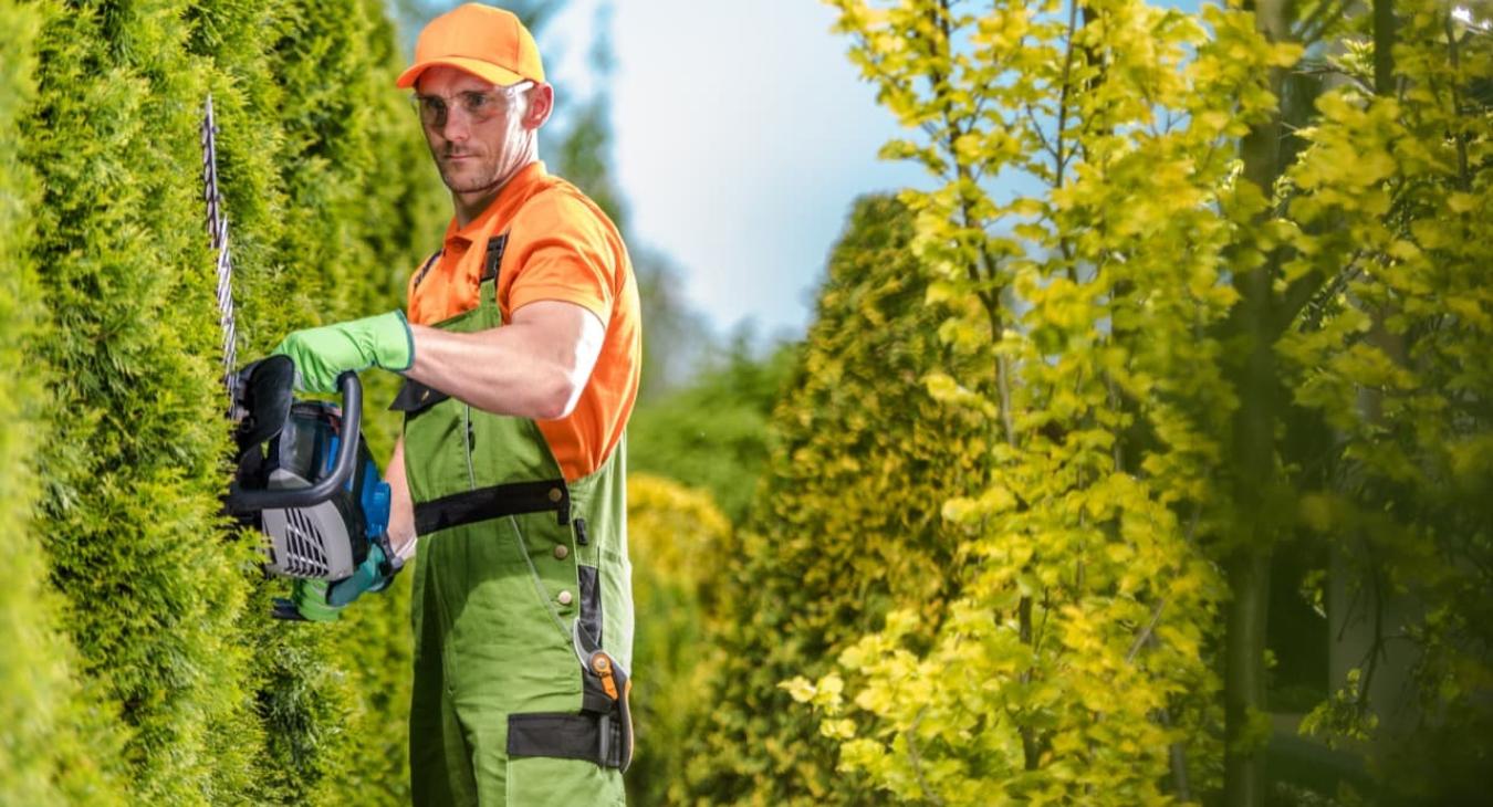 Taille de haies & Débroussaillage 14 Calvados
